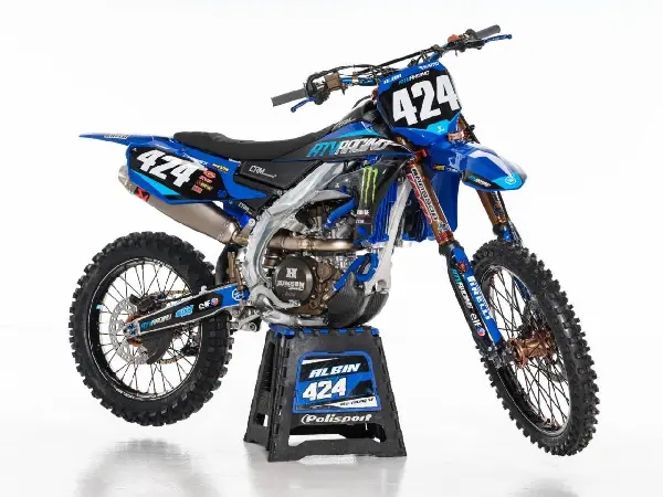 Bild