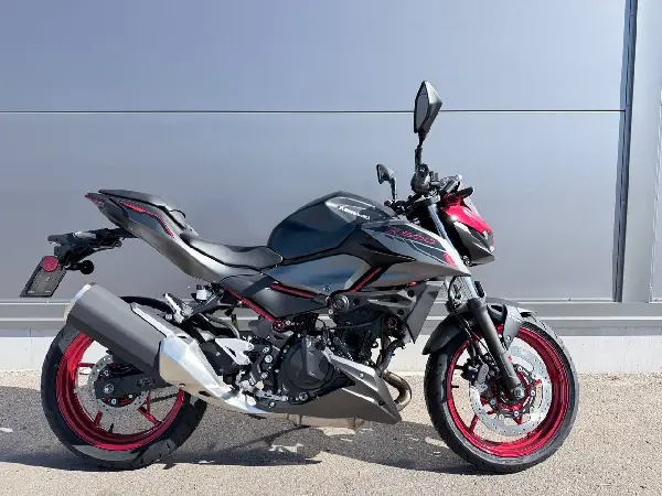 Bild